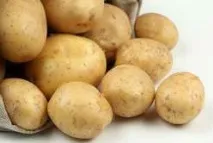 Картопля Адретта опис сорту, характеристики, переваги, терміни посадки, підготовка бульб, опис