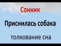До чого сниться великий собака (добрий або злий) жінці та чоловікові – сонник добрий