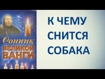 До чого сниться великий собака (добрий або злий) жінці та чоловікові – сонник добрий