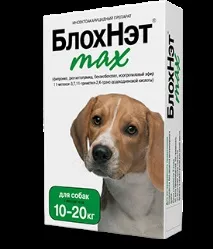 собак