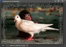 Як вставити фото в рамку у Photoshop CS6 вставити