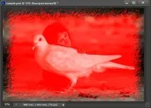 Як вставити фото в рамку у Photoshop CS6 фото