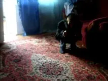 Як виглядає домовик, Питання та Відповіді відповіді