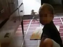 Як виглядає домовик, Питання та Відповіді домовик