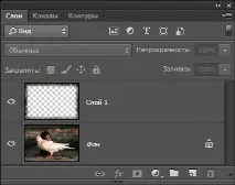 Як вставити фото в рамку у Photoshop CS6 photoshop