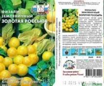 Як виростити фізаліс його