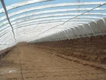 Китайські теплиці конструкційні особливості, переваги та недоліки, правила монтажу, конструкційні