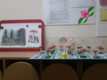 Конспект НОД з ліплення в середній групі ГНР «Отрутні гриби отрутні