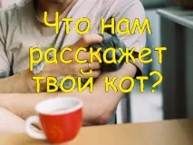 Коментарі до фотографій, коментарі до фото для ВКонтакте, найновіші найновіші