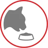 Корм для котів, вибагливих до аромату продукту ROYAL - CANIN Aroma Exigent корм