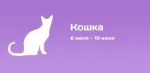 Кішка (Пунарвасу) Індійський гороскоп Кішка