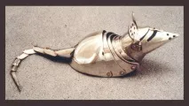 Котяча та мишача броня цього