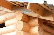 пластинами