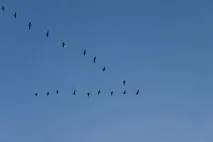 Kосяк - Дитячий сайт kосяк