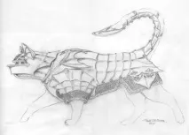 Котяча та мишача броня котяча