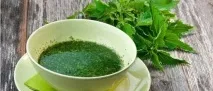 Кропива корисні властивості, народні методи лікування та протипоказання методи