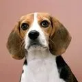 маскою