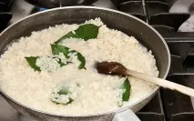 Лавровий лист користь та шкода шкода
