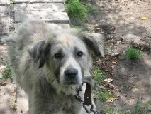 мене