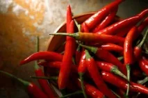 Ложнощитівка заходи боротьби з акацієвою та іншими видами шкідника іншими