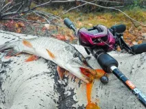 Ловля щуки в коряжнику на силіконові приманки ловля