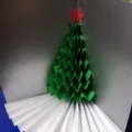 квіти