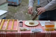 Мед з прополісом лікарські та корисні властивості лікарські