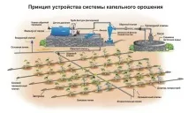 Краплинний полив своїми руками полив