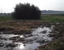 Каналізація в Узді каналізація