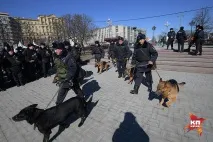 Мирний мітинг» закінчився нападом на поліцейського нападом