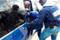 татарстану