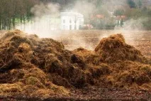 Гній як застосовувати натуральне добриво для підживлення рослин, По поличках () натуральне