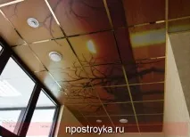 Натяжні стелі на балконі, фото, ціни натяжні