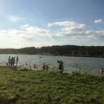 Не вивозиться сміття на брянському пляжі, Регіон 32 брянському