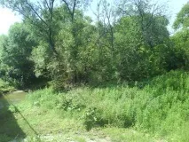 Чи потрібний Сергієву Посаду Пришвін посаду