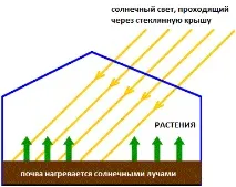 сонячне