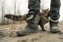 його