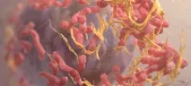 Онкомаркер S100 (С100) для визначення меланоми норма, розшифровка, як здавати аналіз s100