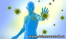 Помилки у зміцненні імунітету, NOVOSTON novoston