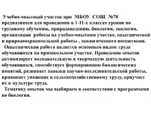 Організація роботи на навчально-дослідній ділянці рослин