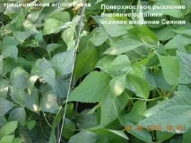 обробіток