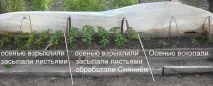 сезонний