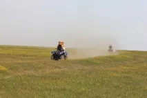Острів щасливих коней острів