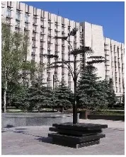 Пальма Мерцалова - Путівник - Статті про Донецьк пальма