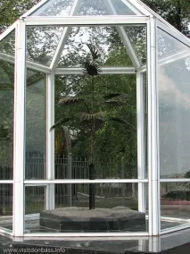 Пальма Мерцалова - Символ Донбасу, Mertsalov Palm Tree - Symbol of Donbass, Донбас та Приазов’я mertsalov