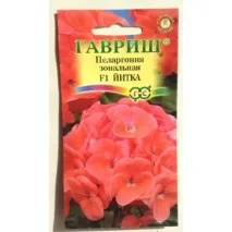 Пеларгонія зональна(Герань) – «Перший досвід вирощування кімнатної квітки з насіння пеларгонія