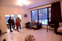 Піски, котедж на березі Фінської затоки котедж