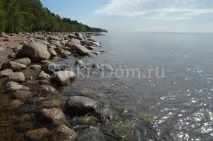 Піски, котедж на березі Фінської затоки піски