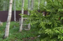 Піски, котедж на березі Фінської затоки котедж