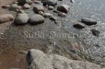 Піски, котедж на березі Фінської затоки піски